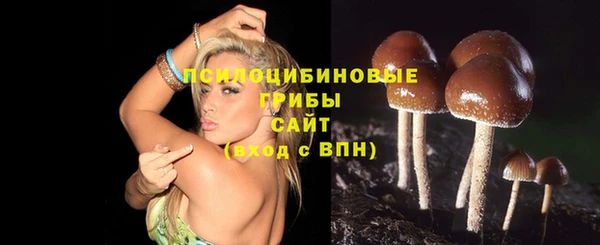 круглые Алексин